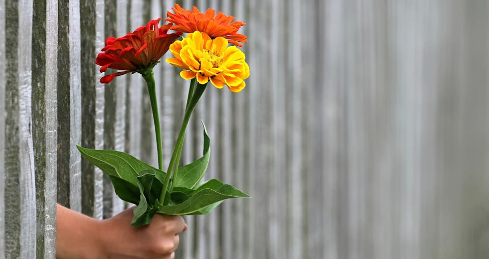 Eine Person hält einen Strauß Blumen aus dem Gitter eines Zauns. Die Blumen stehen mit ihren intensiven Farben im Vordergrund.